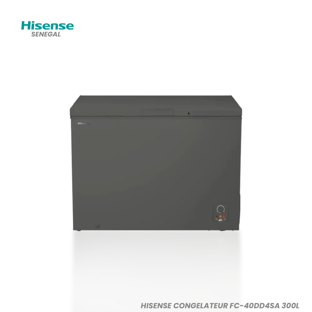 Congélateur Hisense 300 L – Réf. FC40A