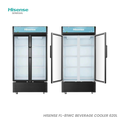 Cave à Boissons Hisense 620 L Noir – Réf. FL-81