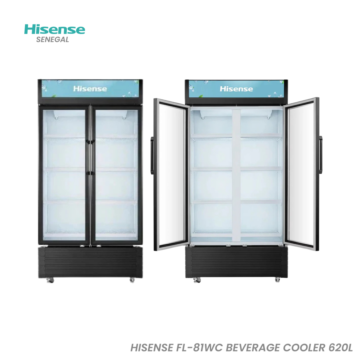 Cave à Boissons Hisense 620 L Noir – Réf. FL-81